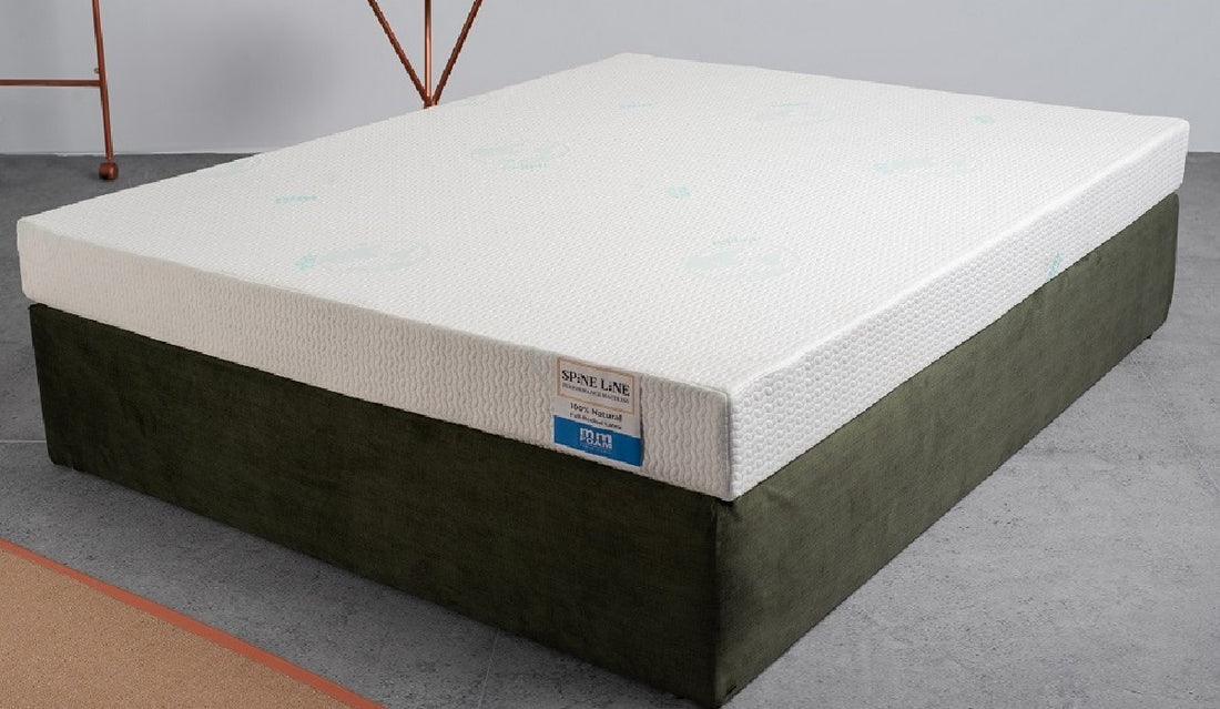 Spineline Orthopedic Mattress Combo with Mattress Protector & Latex Pillows