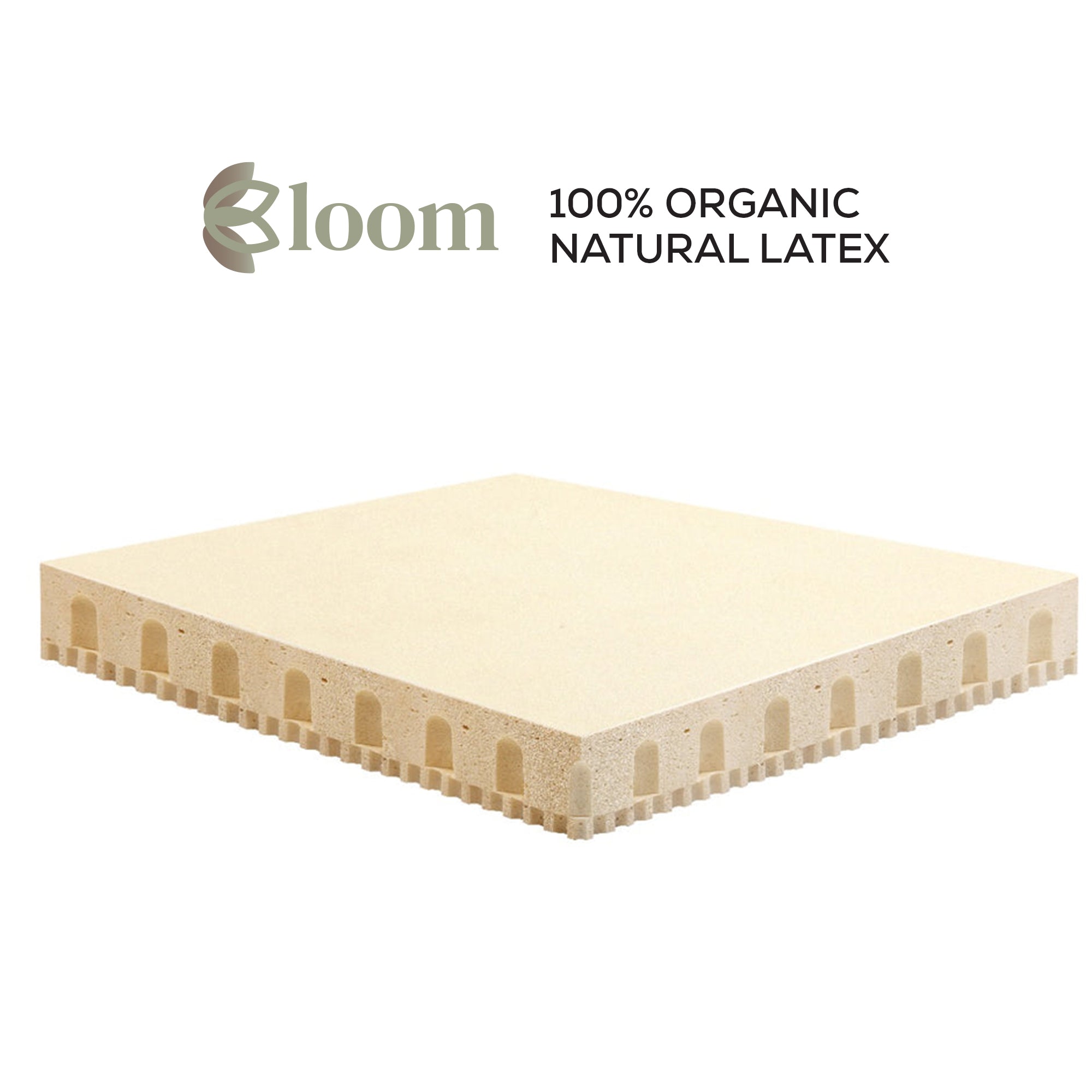 Bloom Mattress (100% Organic Natural Latex) + Free Micro Fiber Pillows