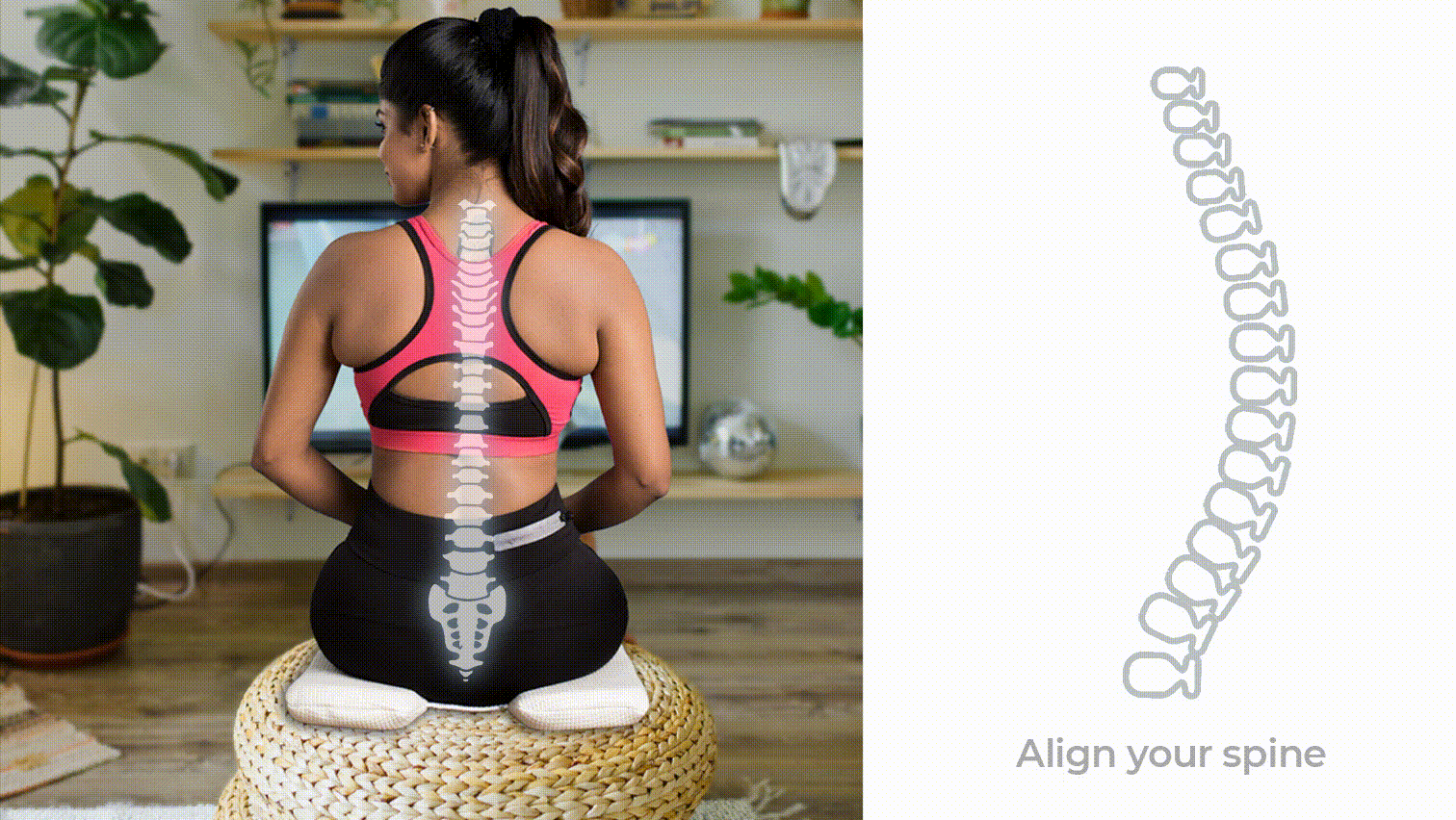 Coccyx wedge pillow cheap